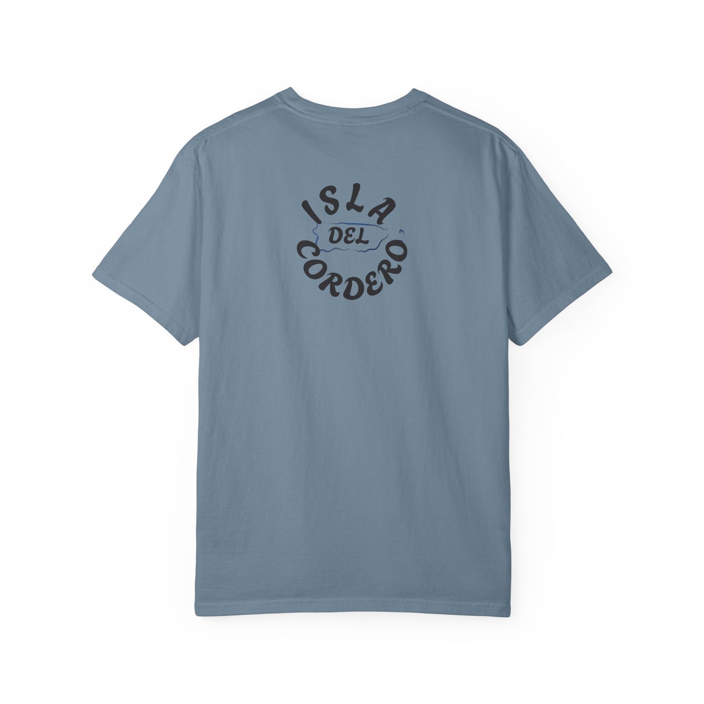 Jesus Graphic Tee, Faith-Based Apparel, Christian Gift, Summer Wear, Casual T-Shirt