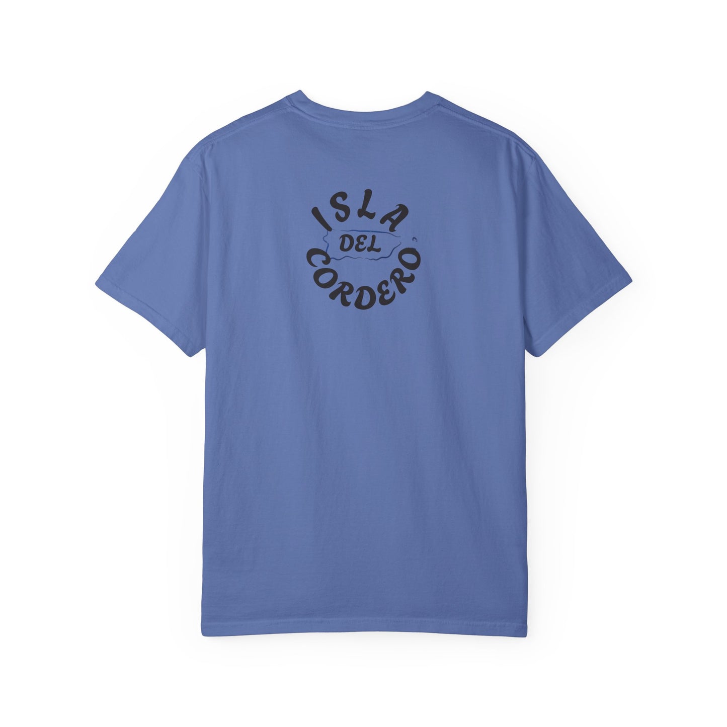 Jesus Graphic Tee, Faith-Based Apparel, Christian Gift, Summer Wear, Casual T-Shirt