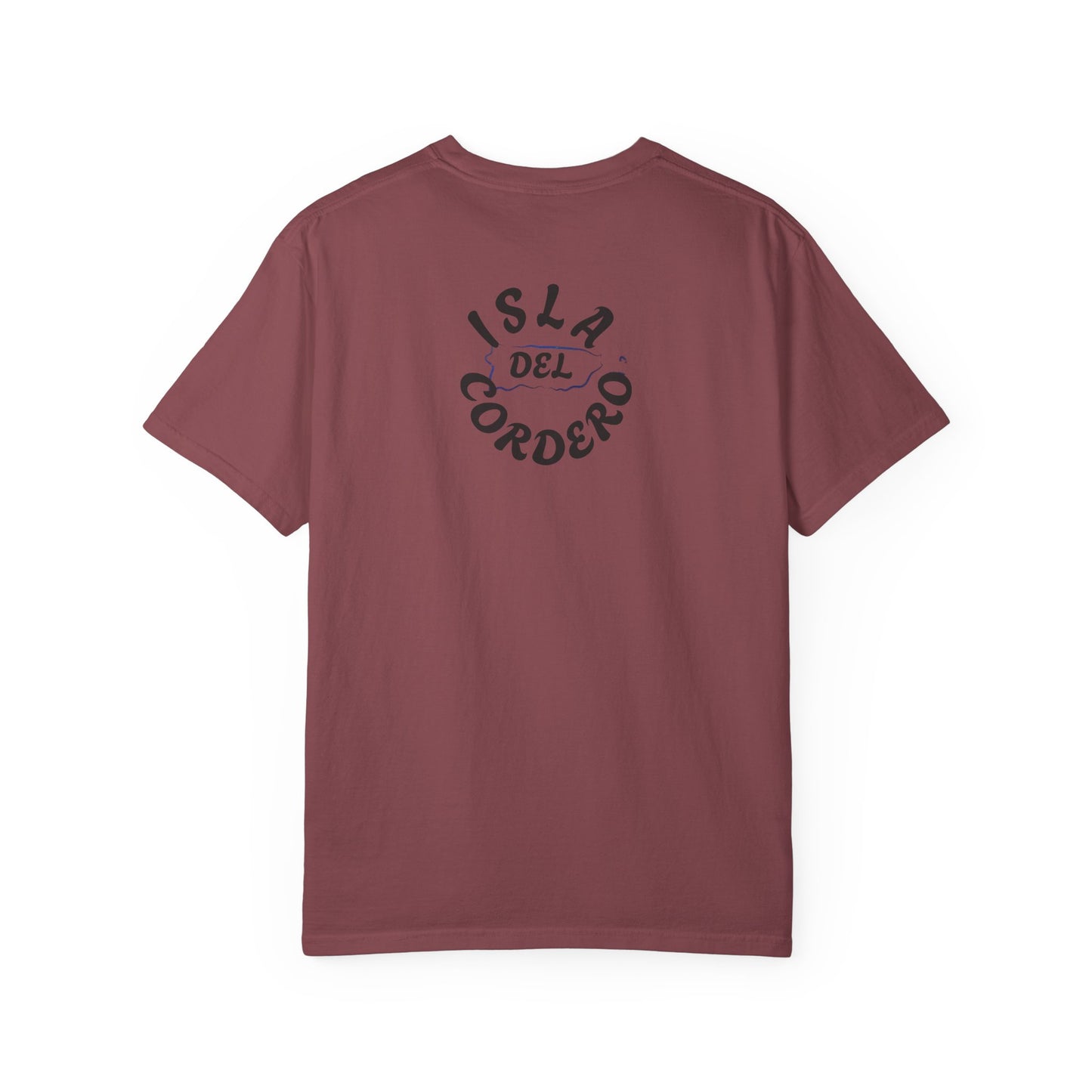 Jesus Graphic Tee, Faith-Based Apparel, Christian Gift, Summer Wear, Casual T-Shirt