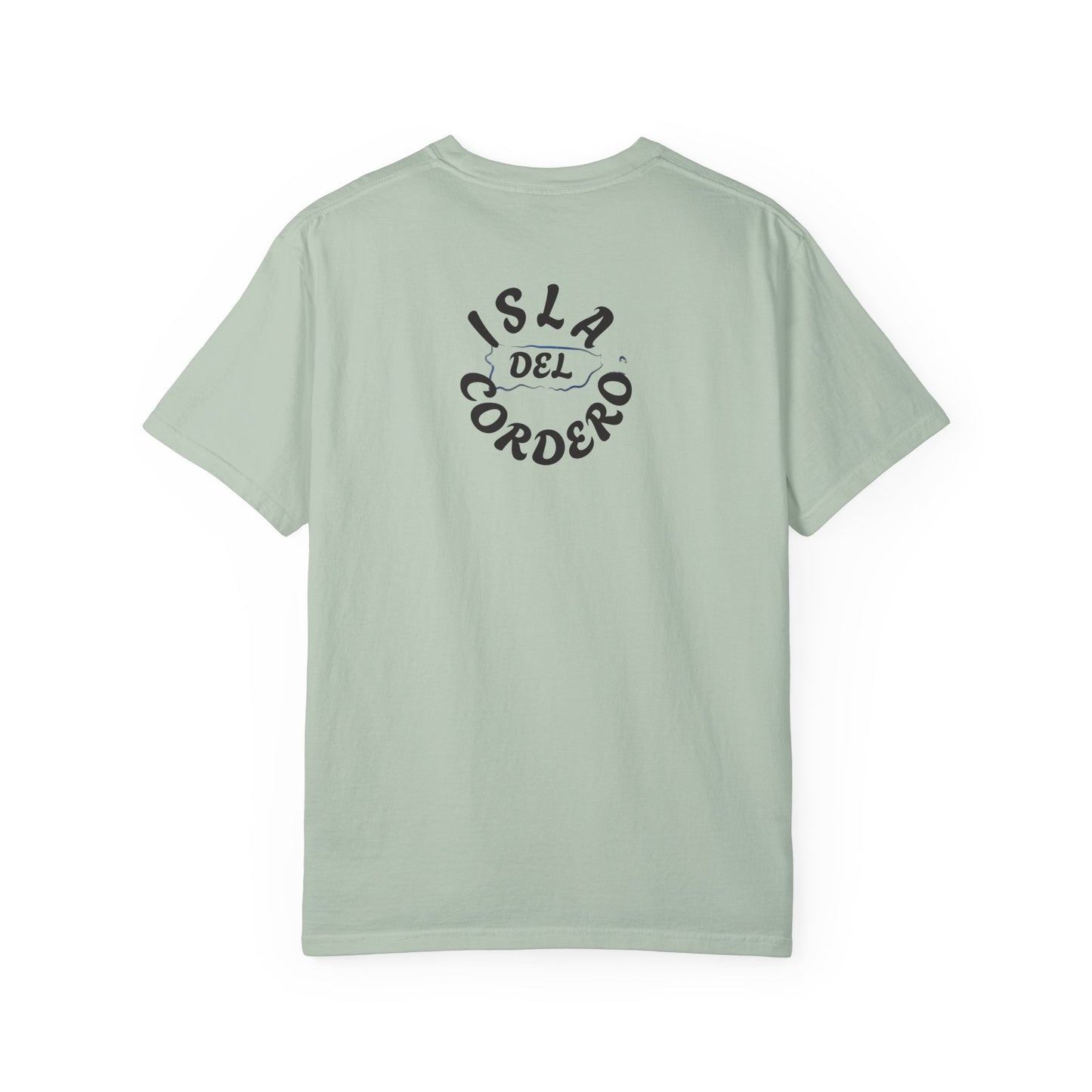 Jesus Graphic Tee, Faith-Based Apparel, Christian Gift, Summer Wear, Casual T-Shirt