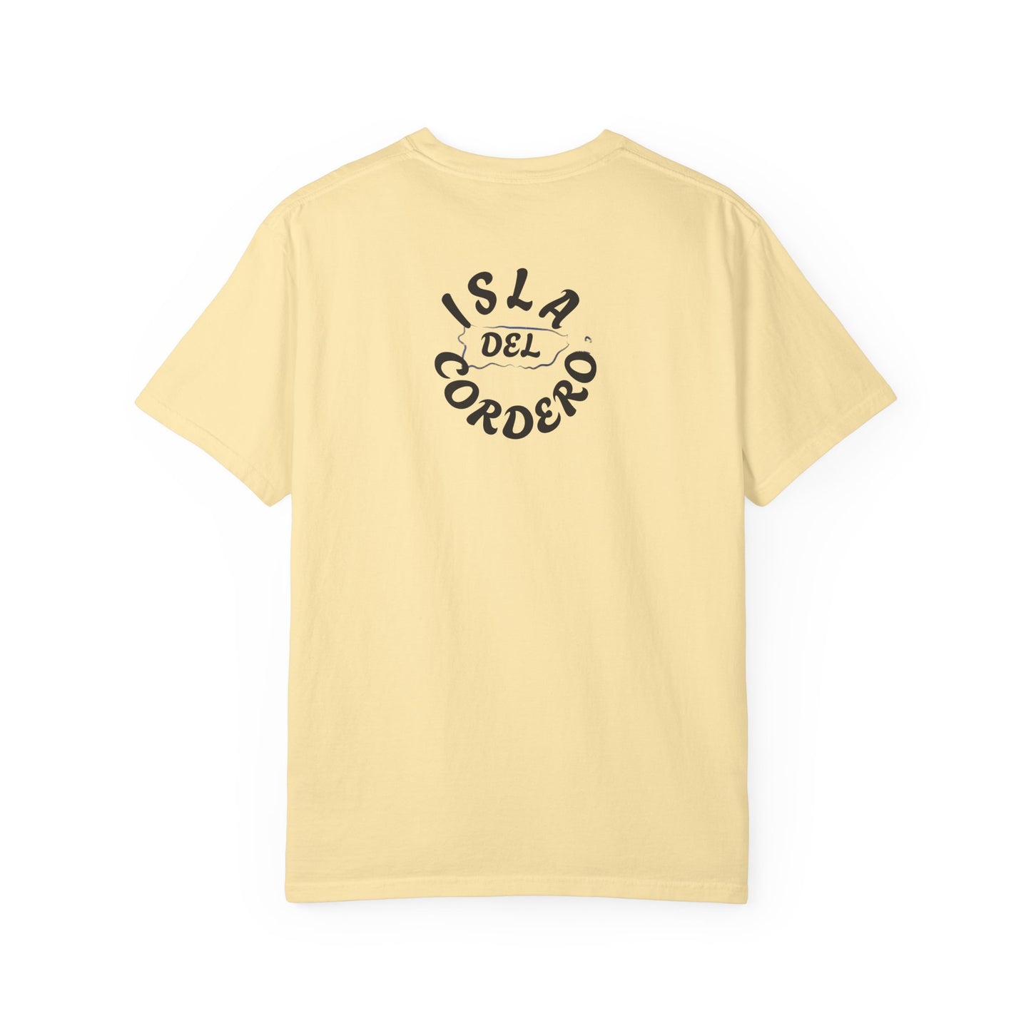 Jesus Graphic Tee, Faith-Based Apparel, Christian Gift, Summer Wear, Casual T-Shirt