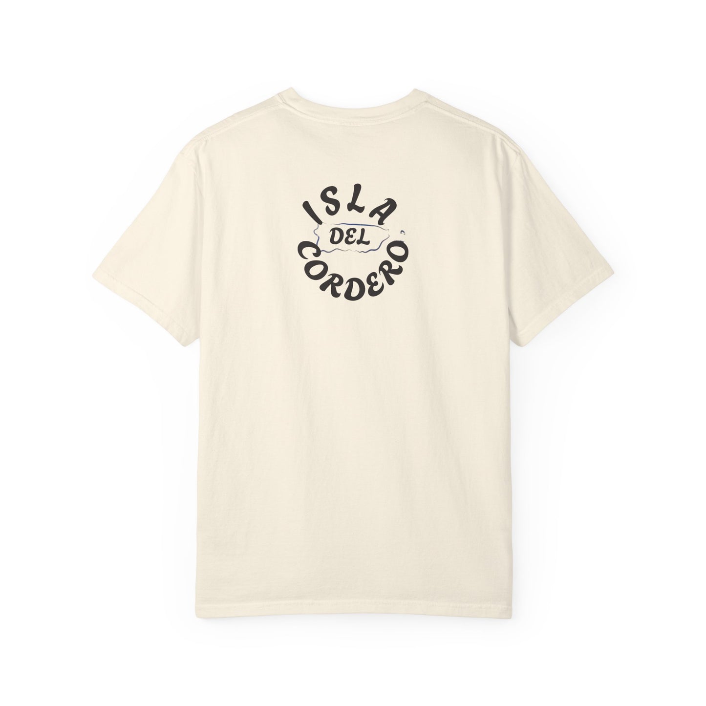 Jesus Graphic Tee, Faith-Based Apparel, Christian Gift, Summer Wear, Casual T-Shirt