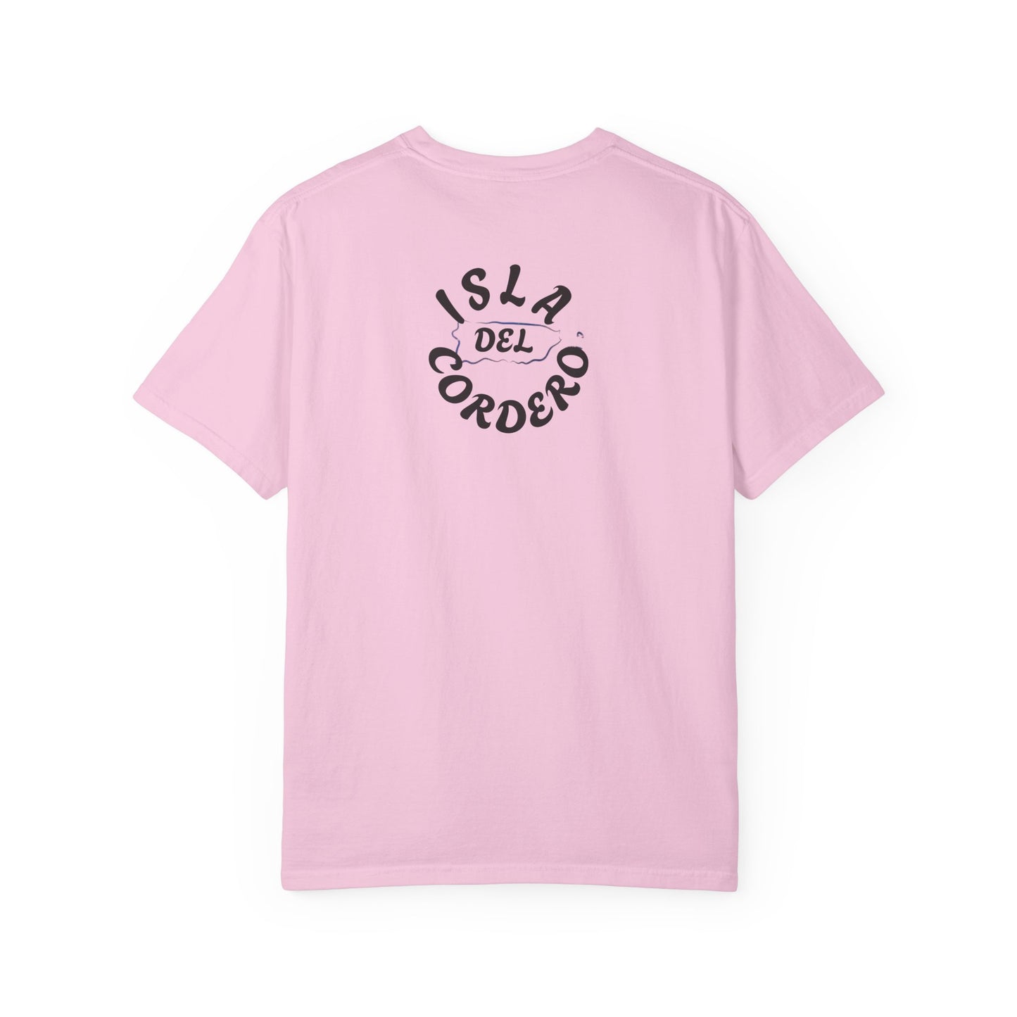 Jesus Graphic Tee, Faith-Based Apparel, Christian Gift, Summer Wear, Casual T-Shirt