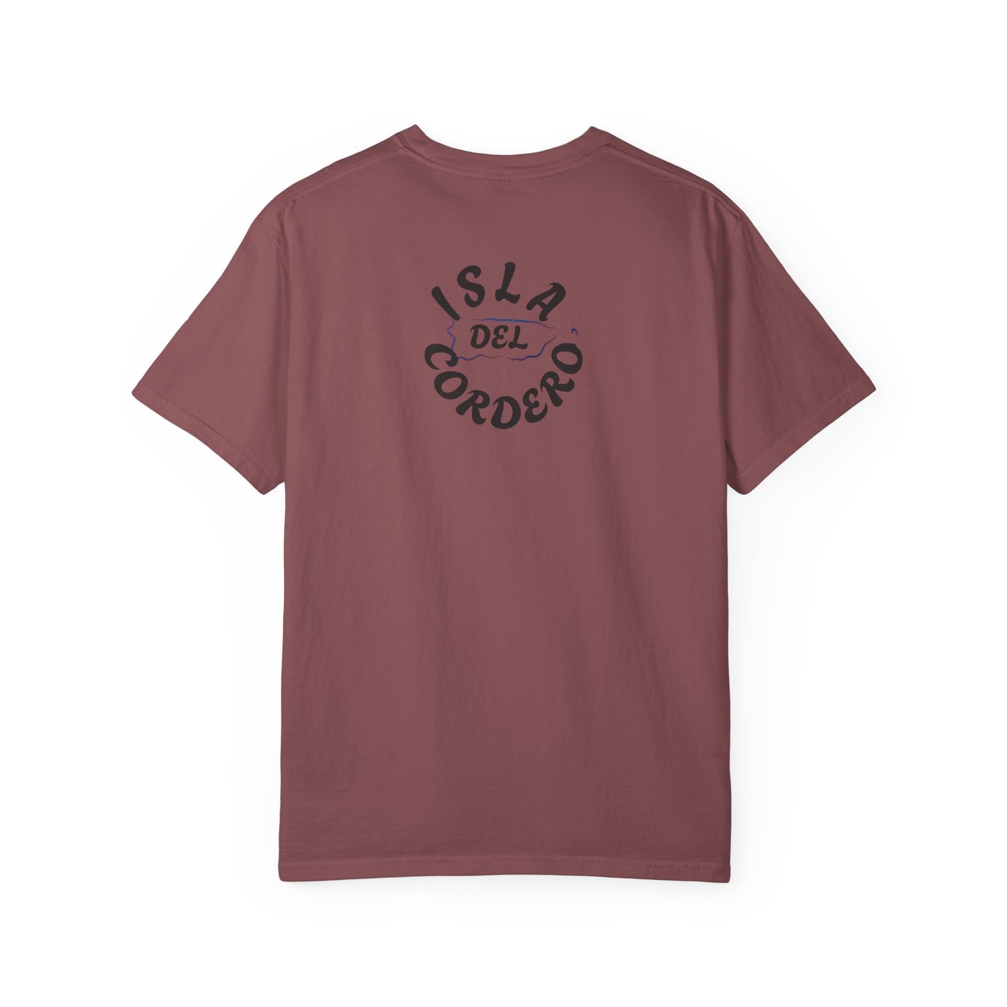 Jesus Graphic Tee, Faith-Based Apparel, Christian Gift, Summer Wear, Casual T-Shirt