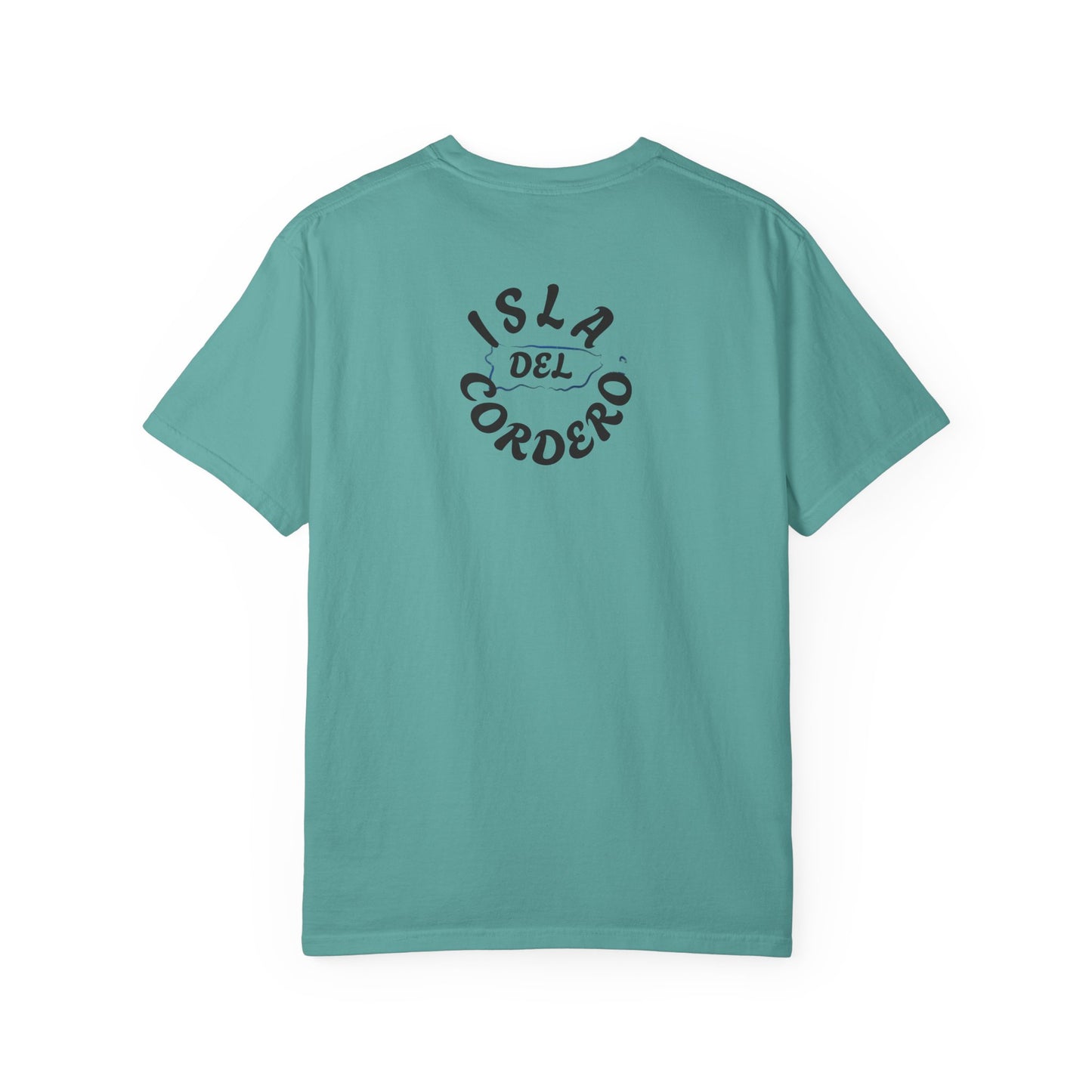 Jesus Graphic Tee, Faith-Based Apparel, Christian Gift, Summer Wear, Casual T-Shirt