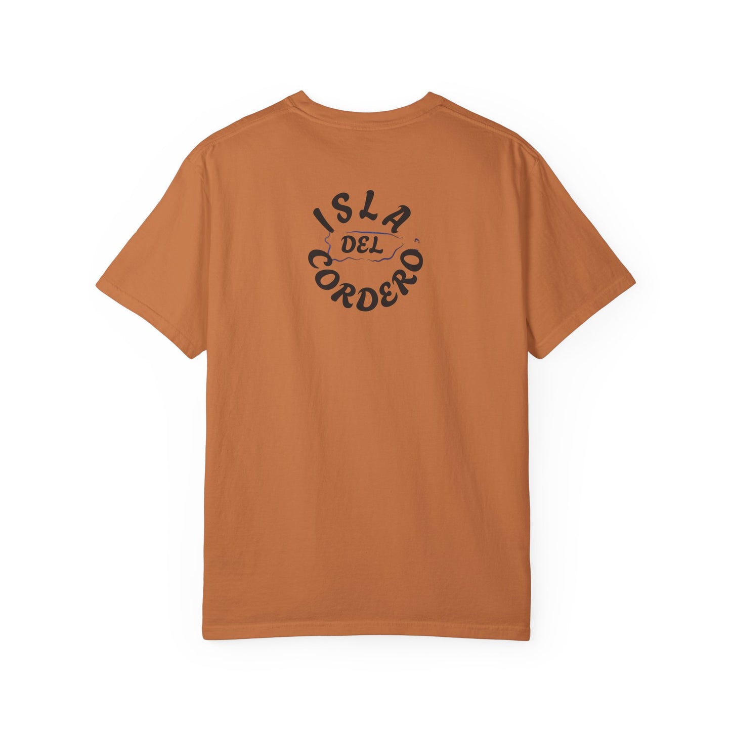 Jesus Graphic Tee, Faith-Based Apparel, Christian Gift, Summer Wear, Casual T-Shirt