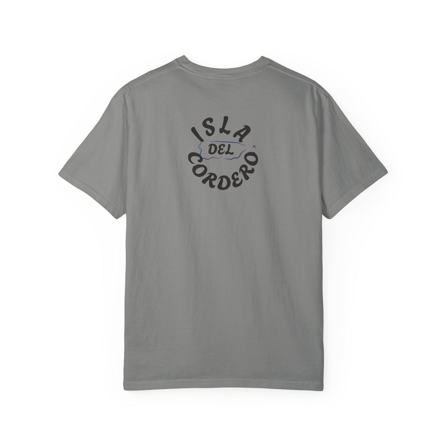 Jesus Graphic Tee, Faith-Based Apparel, Christian Gift, Summer Wear, Casual T-Shirt
