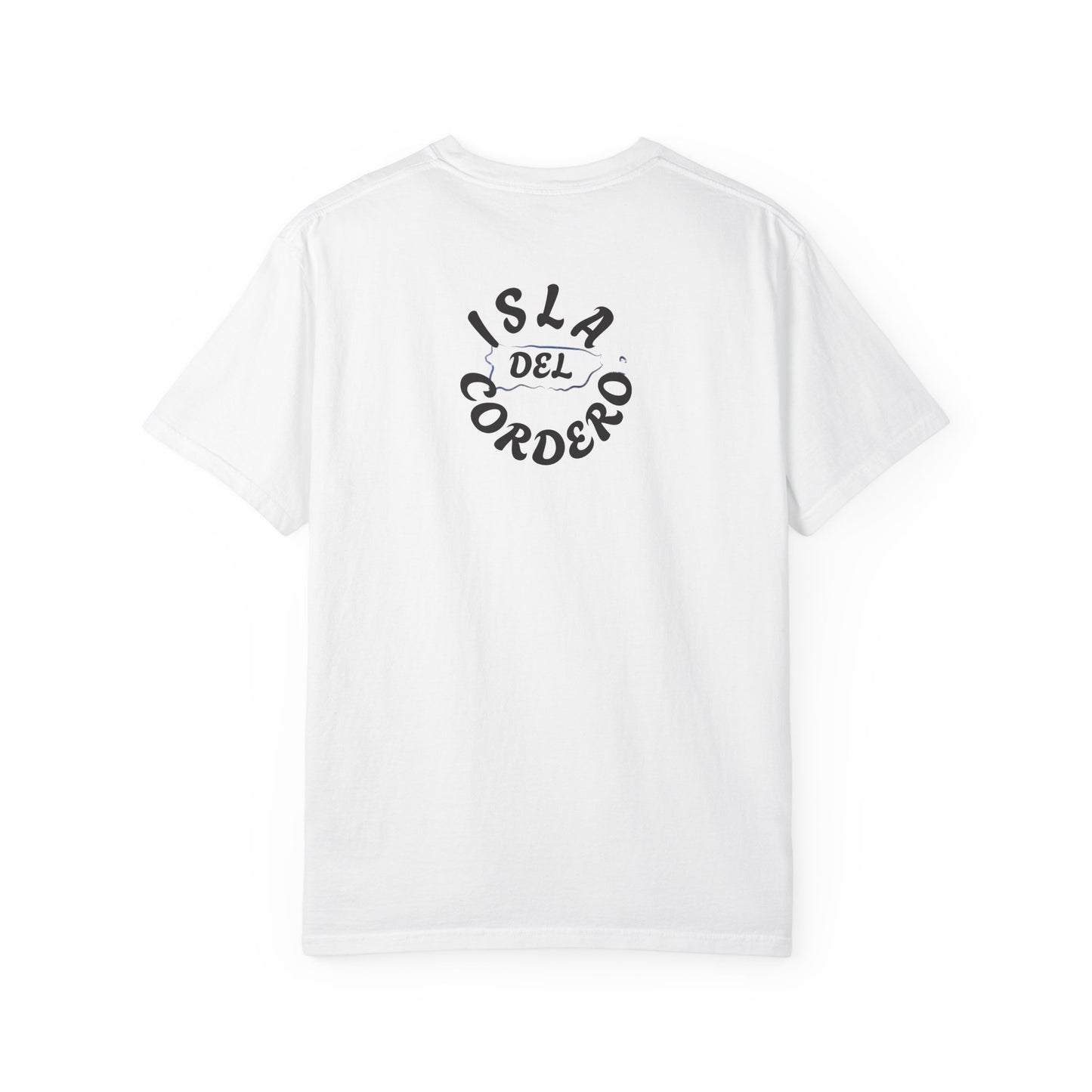 Jesus Graphic Tee, Faith-Based Apparel, Christian Gift, Summer Wear, Casual T-Shirt