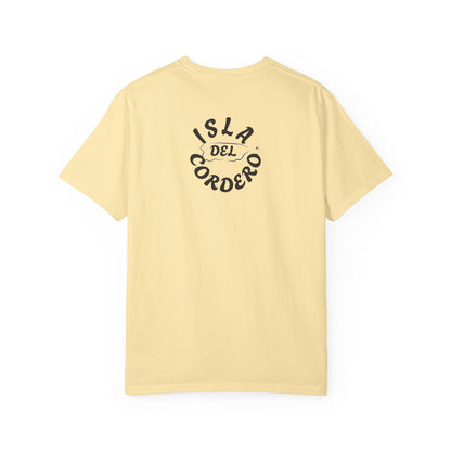 Jesus Graphic Tee, Faith-Based Apparel, Christian Gift, Summer Wear, Casual T-Shirt