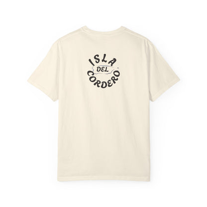 Jesus Graphic Tee, Faith-Based Apparel, Christian Gift, Summer Wear, Casual T-Shirt