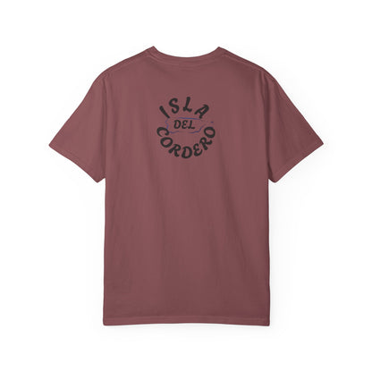 Jesus Graphic Tee, Faith-Based Apparel, Christian Gift, Summer Wear, Casual T-Shirt