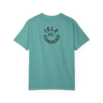 Jesus Graphic Tee, Faith-Based Apparel, Christian Gift, Summer Wear, Casual T-Shirt