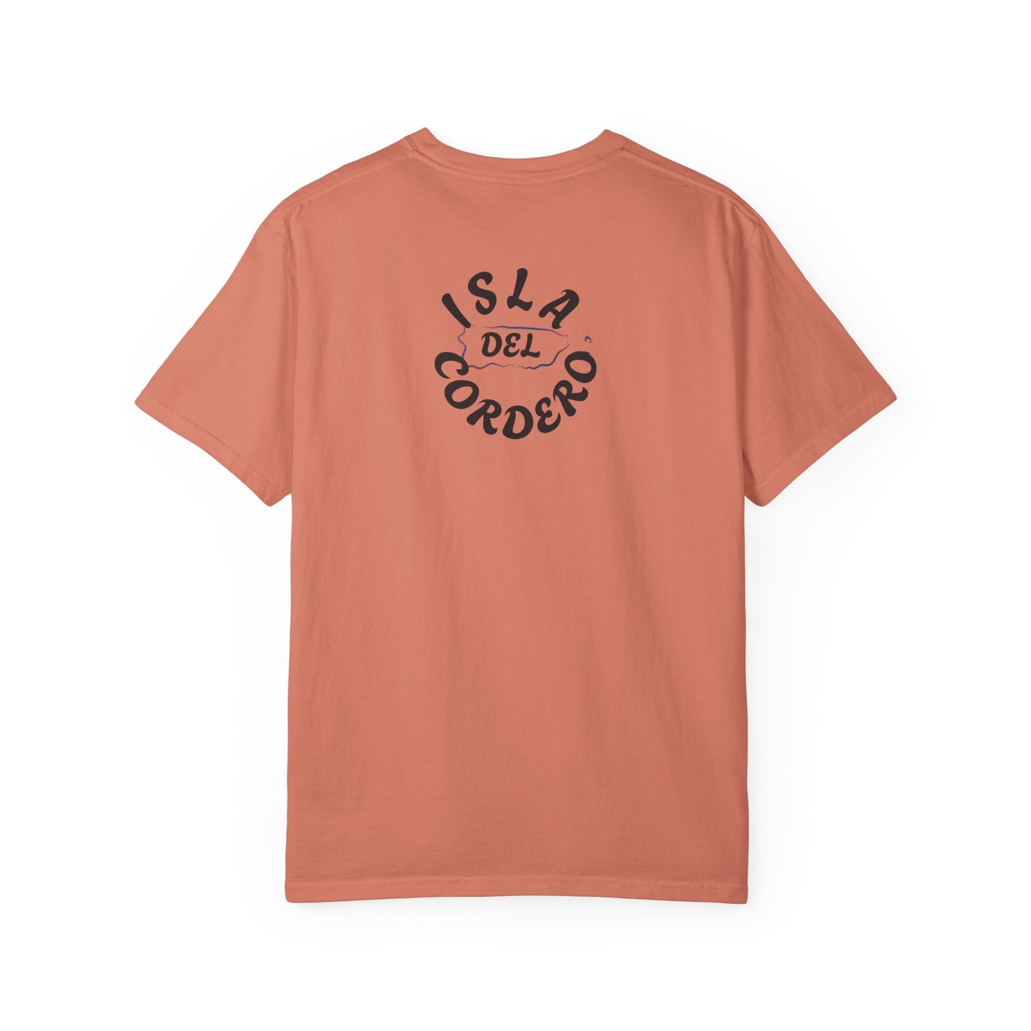 Jesus Graphic Tee, Faith-Based Apparel, Christian Gift, Summer Wear, Casual T-Shirt