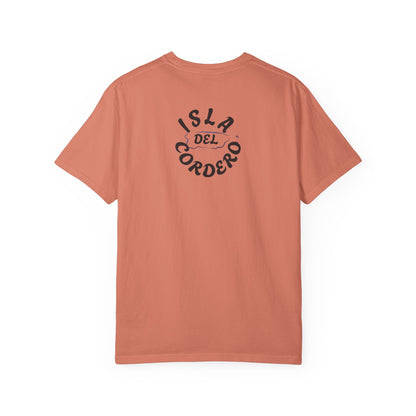 Jesus Graphic Tee, Faith-Based Apparel, Christian Gift, Summer Wear, Casual T-Shirt