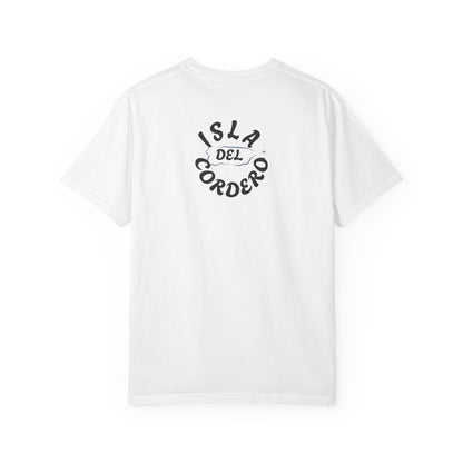 Jesus Graphic Tee, Faith-Based Apparel, Christian Gift, Summer Wear, Casual T-Shirt